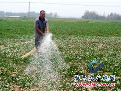 正陽(yáng):全力戰(zhàn)旱魔