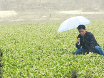 及時(shí)雨助力秋播