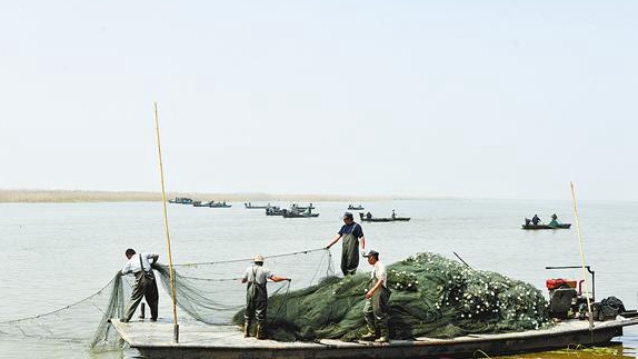 宿鴨湖夏捕拉開(kāi)序幕