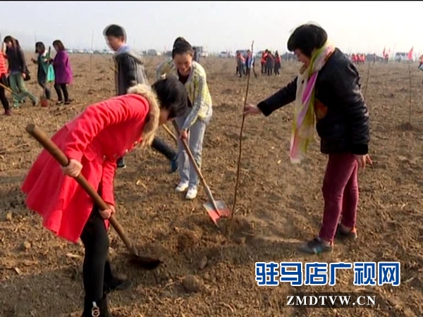 獻(xiàn)禮三八節(jié)，共植巾幗林_20160307091028.JPG