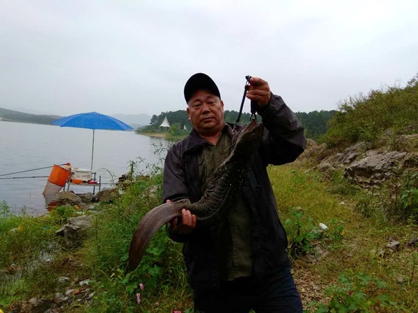 水庫釣到10斤重“娃娃魚” 駐馬店釣友當場放生