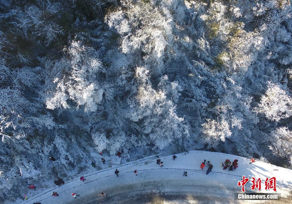 12月20日，重慶金佛山銀裝素裹雪景美如畫，吸引了不少游客前來觀賞。當日，第19屆金佛山冰雪節(jié)正式開幕。 陳超 攝