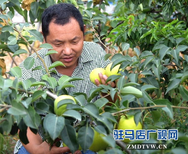 正陽永興鎮(zhèn)李軍：昔日“貧困戶”今日“扶貧戶”