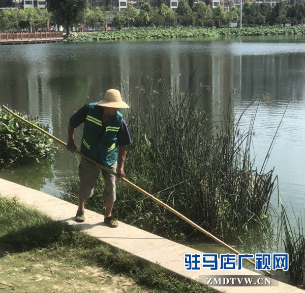 高溫下的園林工人：用汗水澆灌城市綠蔭