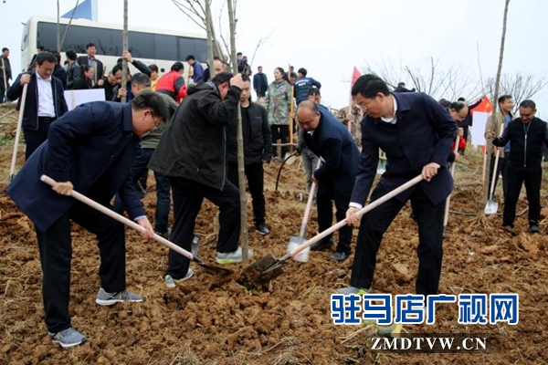 泌陽：全面啟動實施國土綠化提速行動 