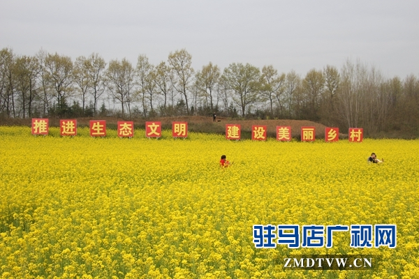 駐馬店魯灣小鎮(zhèn)首屆千畝油菜花節(jié)開(kāi)幕  