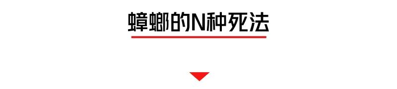 螂有N種死法，真正靠譜的是這2種 