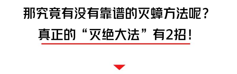 螂有N種死法，真正靠譜的是這2種 