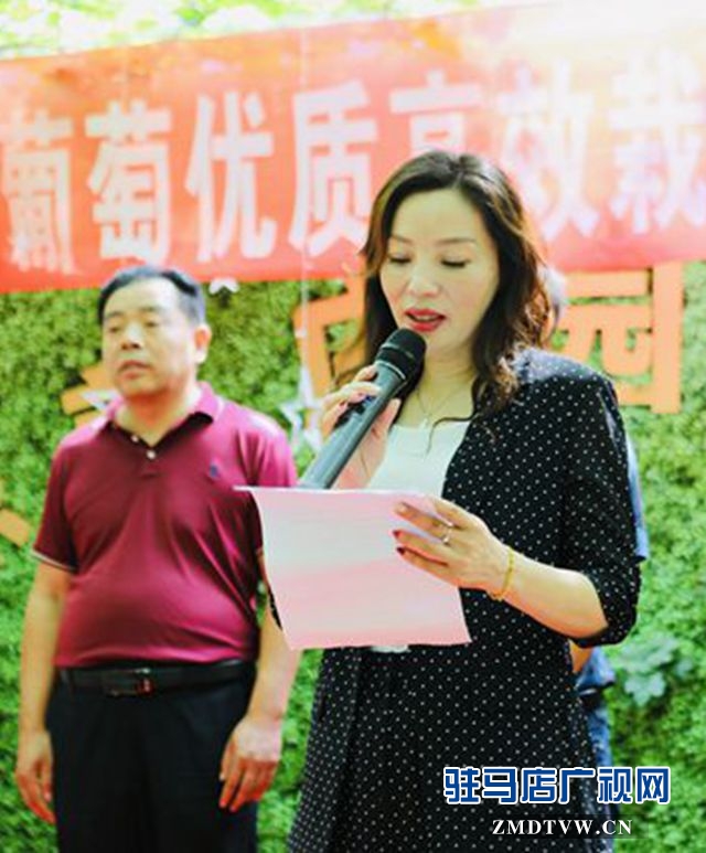 葡萄熟了！駐馬店杰美葡萄莊園盛大開園