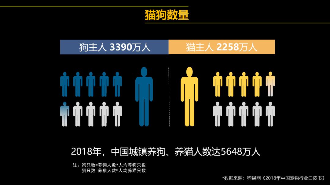 中國(guó)首只克隆貓回家了，你會(huì)花 38 萬(wàn)跟去世的寵物再續(xù)前緣嗎？