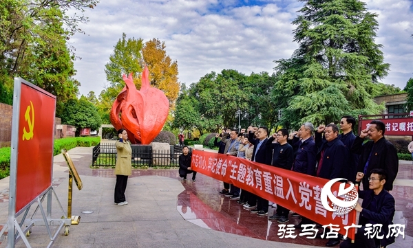 正陽縣永興鎮(zhèn)組織學(xué)習(xí)標兵接受紅色教育