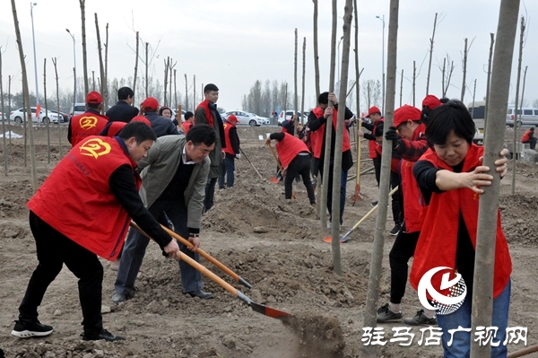 正陽(yáng)縣開(kāi)展秋冬添新綠義務(wù)植樹(shù)活動(dòng)