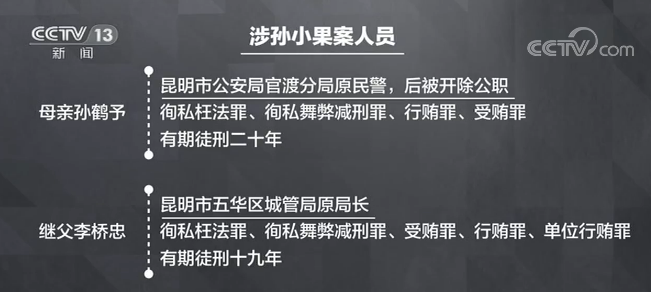 新聞1＋1丨一個“孫小果”，一群“保護傘”！-中新網(wǎng)