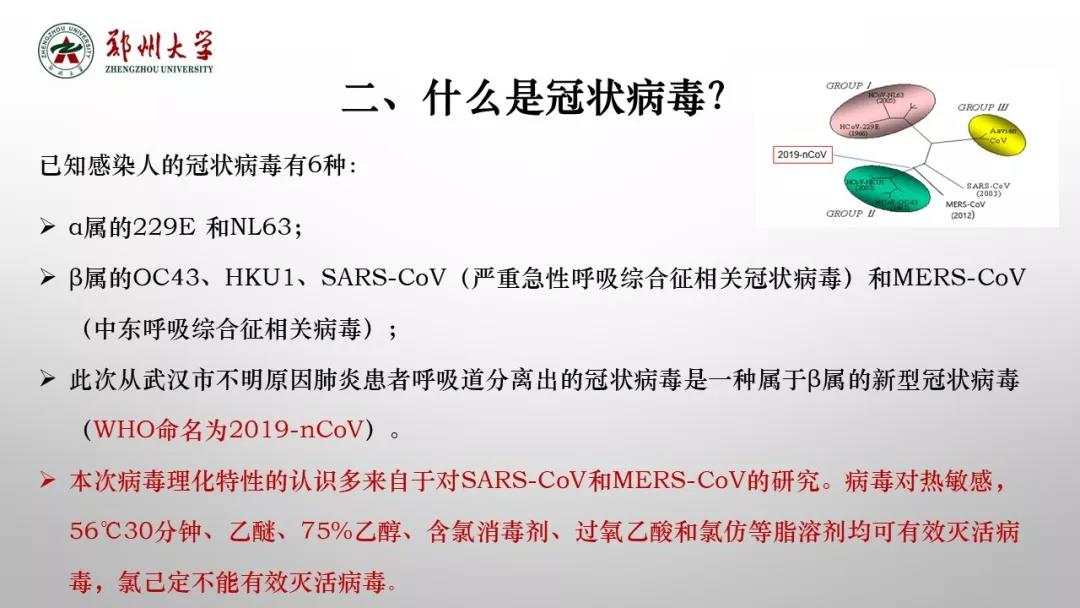 鄭州大學新型冠狀病毒感染的肺炎疫情防控知識宣傳手冊（師生第一版）