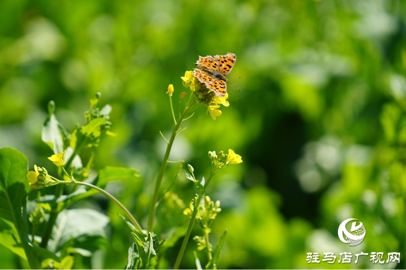 我們堅守，為了早日重逢