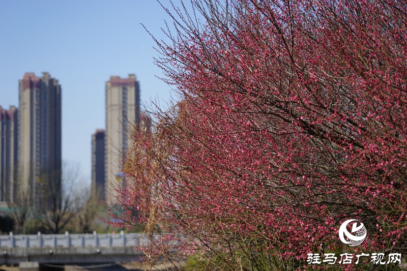 再次與自己約定，閉門不出