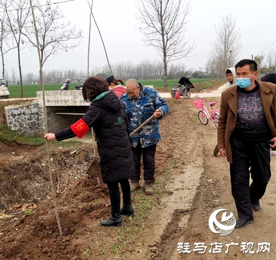 汝南縣三橋鎮(zhèn)搶抓時機(jī)忙植樹