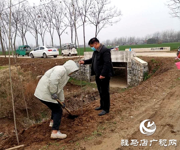 汝南縣三橋鎮(zhèn)搶抓時機(jī)忙植樹