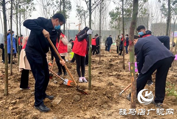 陳星 朱是西等市領(lǐng)導(dǎo)與廣大干群一起參加植樹造林活動(dòng)