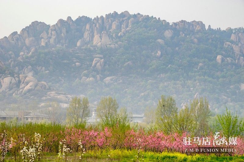 終于等到你，美麗大駐馬