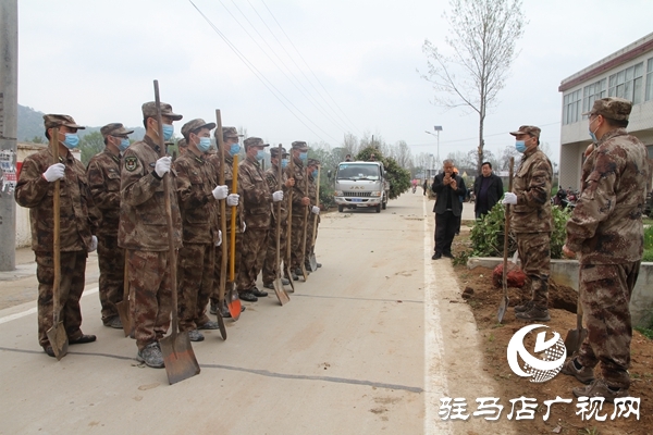 驛城區(qū)人武部為幫扶村“披綠”