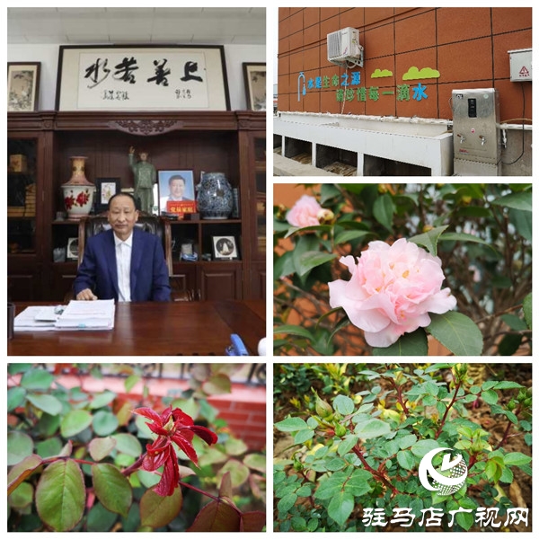 駐馬店大海商砼花園工廠——既要金山銀山，又要綠水青山