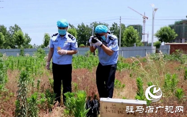 五一勞動節(jié):向堅守崗位的勞動者致敬,你們忙碌的身影最美麗！