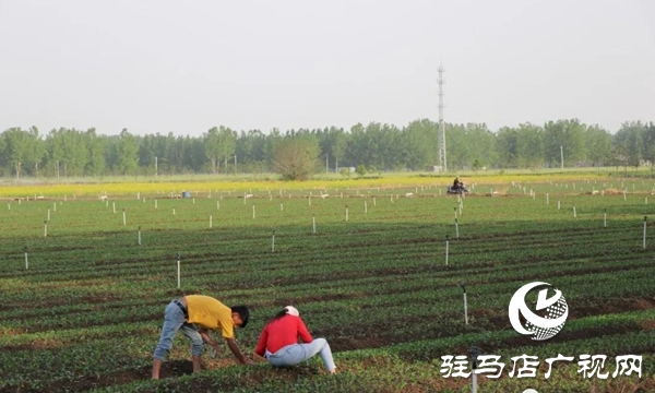 五一勞動節(jié):向堅守崗位的勞動者致敬,你們忙碌的身影最美麗！