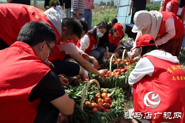 黨員為農(nóng)產(chǎn)品代言，政協(xié)助力脫貧攻堅 