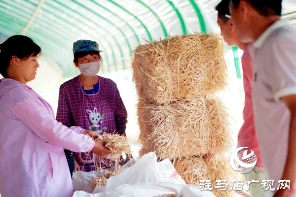 泌陽(yáng)養(yǎng)殖戶陳宏偉：就想讓鄉(xiāng)親們有錢賺 有事做