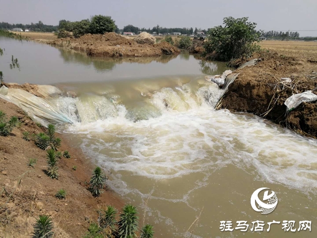 汝南縣邢莊村:筑壩截水、疏通溝渠，抗旱搶種保“三夏”