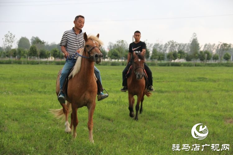 平輿縣李屯鎮(zhèn)小毛驢農(nóng)場讓你體驗水上狂歡清涼一夏