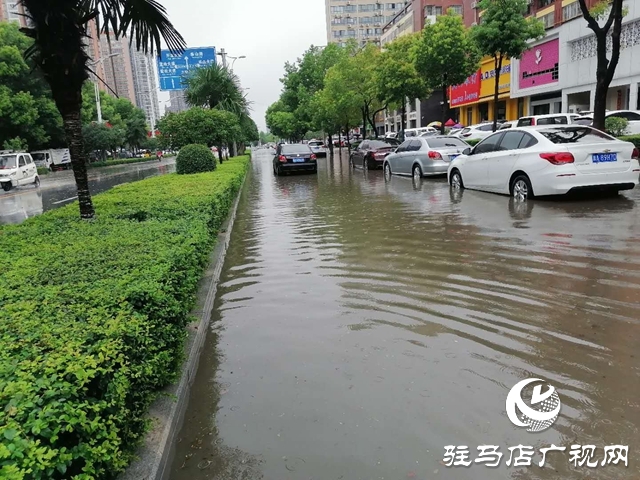 遇到積水路面如何開車？