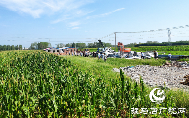 駐馬店市驛城區(qū)對農村亂占耕地建房8類問題“零容忍”