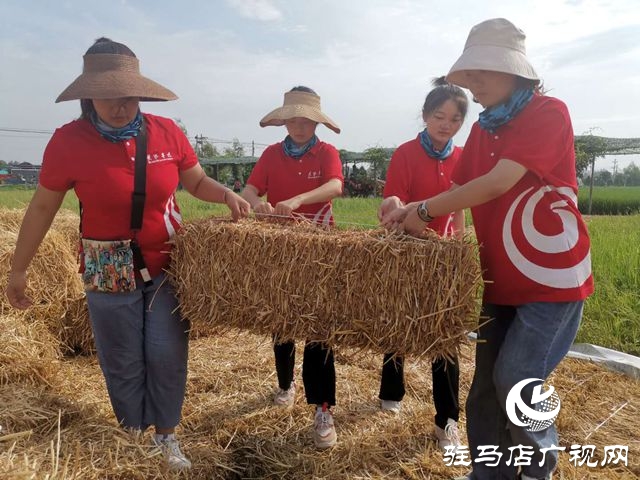 黃淮學院藝術設計學院:在鄉(xiāng)村振興的大地上唱響青春之歌