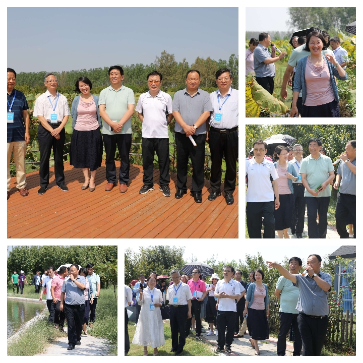 河南省雜文名家“聚焦平輿白芝麻產(chǎn)業(yè)發(fā)展”采風(fēng)活動啟動暨藍(lán)天芝麻小鎮(zhèn)采風(fēng)基地揭牌儀式舉行