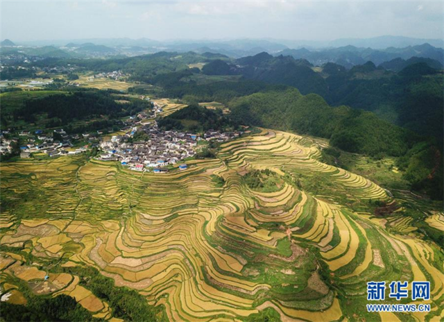 一個(gè)小鎮(zhèn)“撬動(dòng)”整縣脫貧——社會(huì)扶貧的貴州丹寨樣板