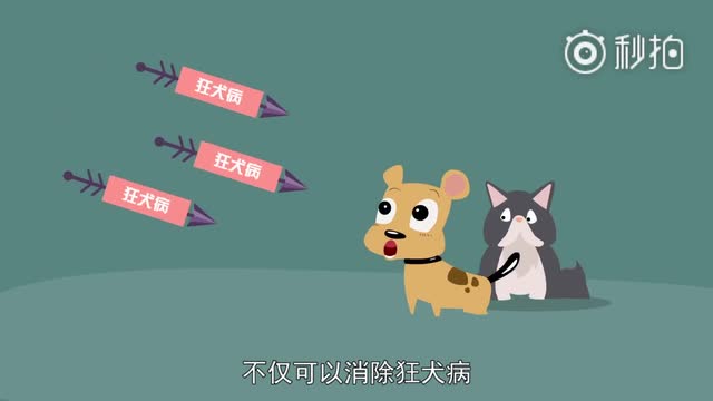 狂犬病有多狂？