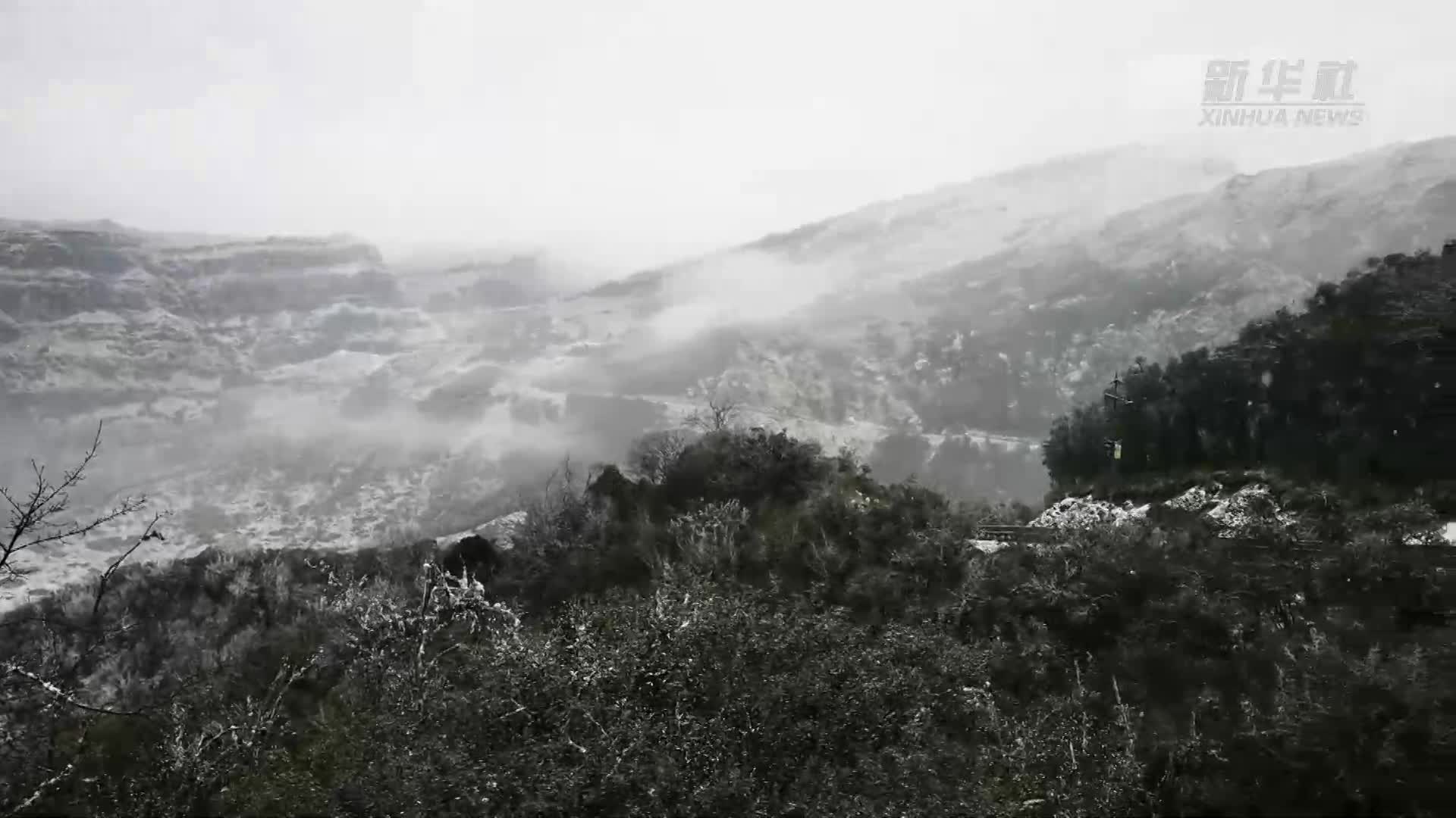 南國(guó)山雪 別樣“凍”景