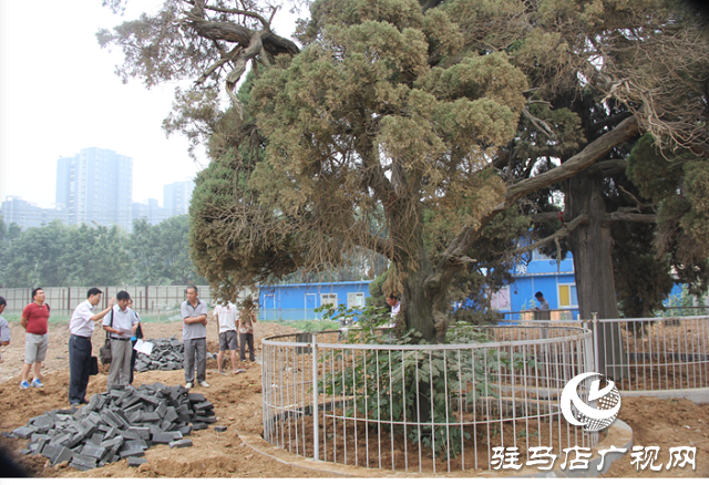 【愛克•玖隆茂】購物公園試營業(yè)當天銷售額過億