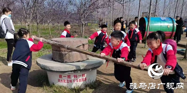 駐馬店實驗小學開展“ 愛綠護綠”義務植樹活動