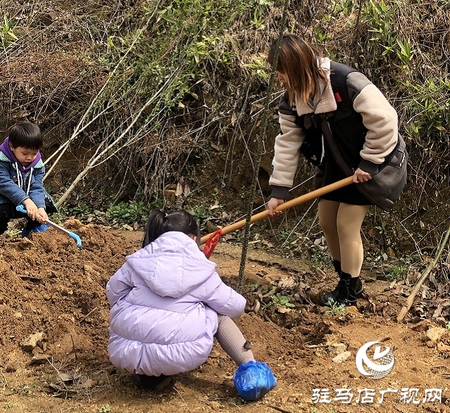 春分植樹添新綠 車友齊心美家園