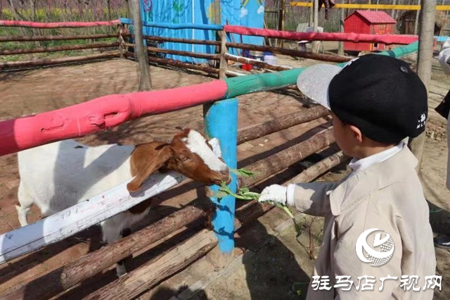 蘋果樹幼兒園赴世外桃源教育農(nóng)場開展春季游學(xué)