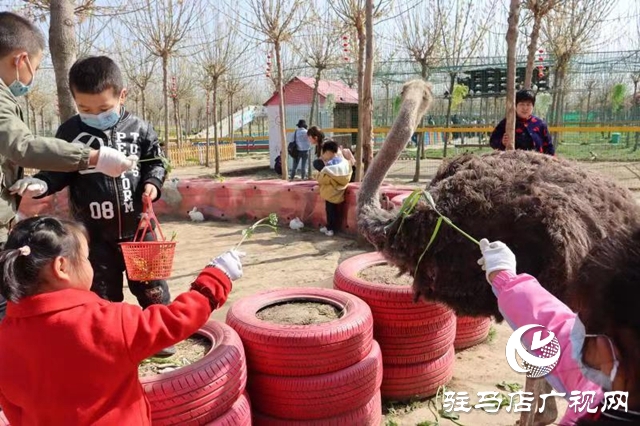 蘋果樹幼兒園赴世外桃源教育農(nóng)場開展春季游學(xué)