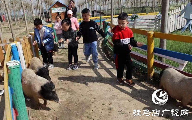 蘋果樹幼兒園赴世外桃源教育農(nóng)場開展春季游學(xué)