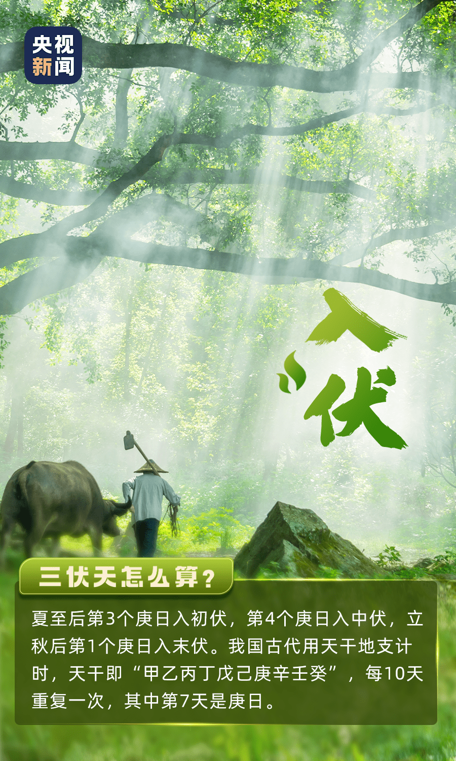 三伏天來了，這些養(yǎng)生寶典請收下