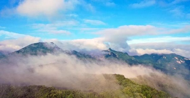 “市”外有桃園，宜陽花果山，遛娃首選點