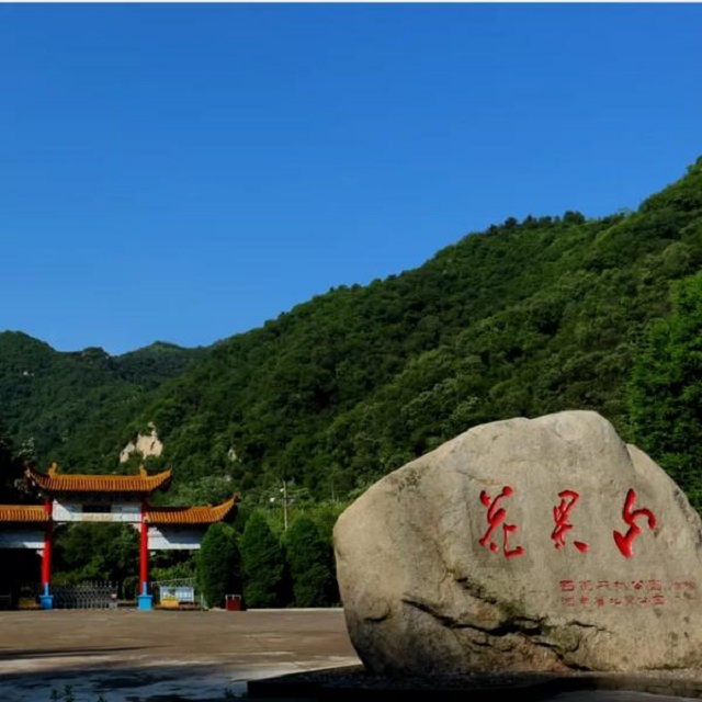 “市”外有桃園，宜陽花果山，遛娃首選點