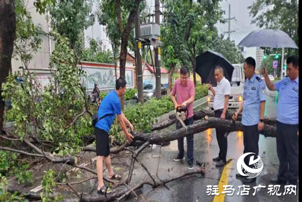 風(fēng)雨刮倒樹木成隱患 園林工人忙清理還道路暢通