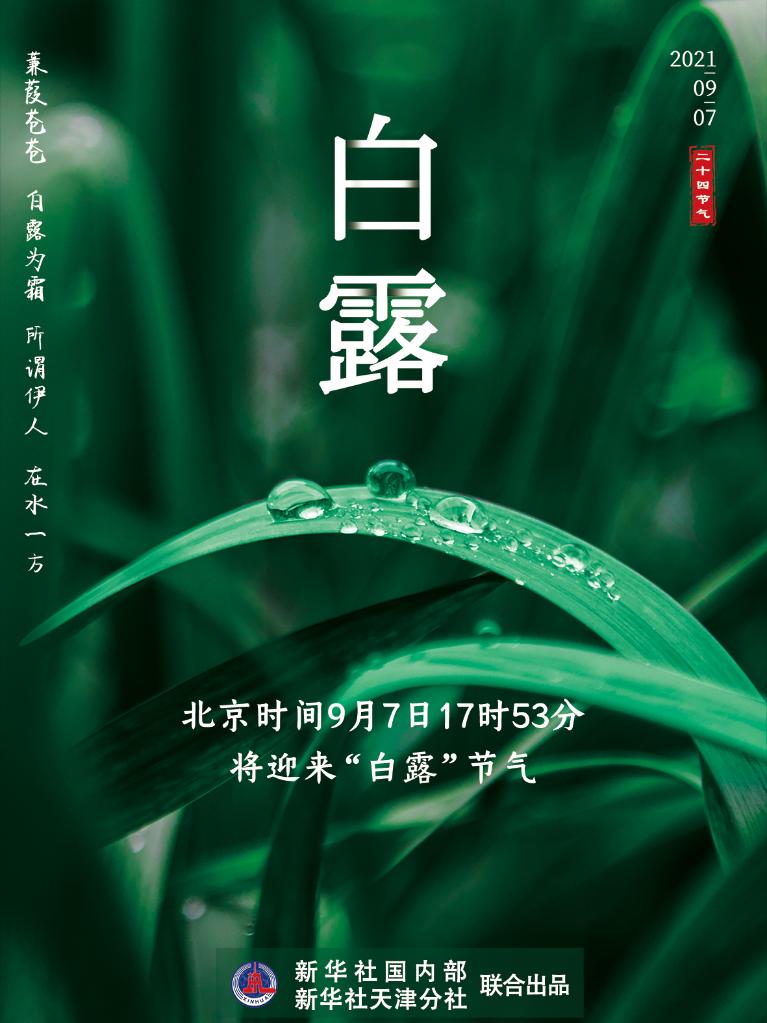 9月7日17時53分“白露”：露從今夜白，夜自此日涼